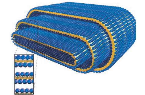 软物质与生物物理研究什么,物理学的前沿学科