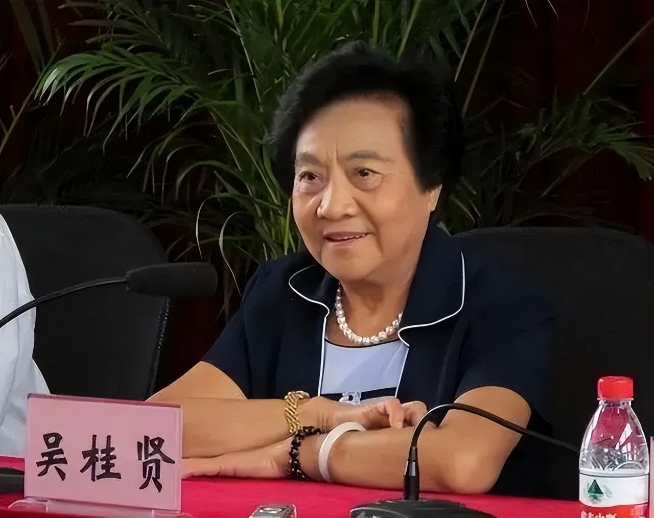 吴桂贤副总理爱人和子女现状如何？