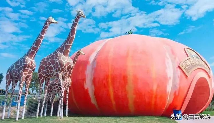 温州龙湾的旅游景点介绍图片,温州龙湾区一日游最佳景点