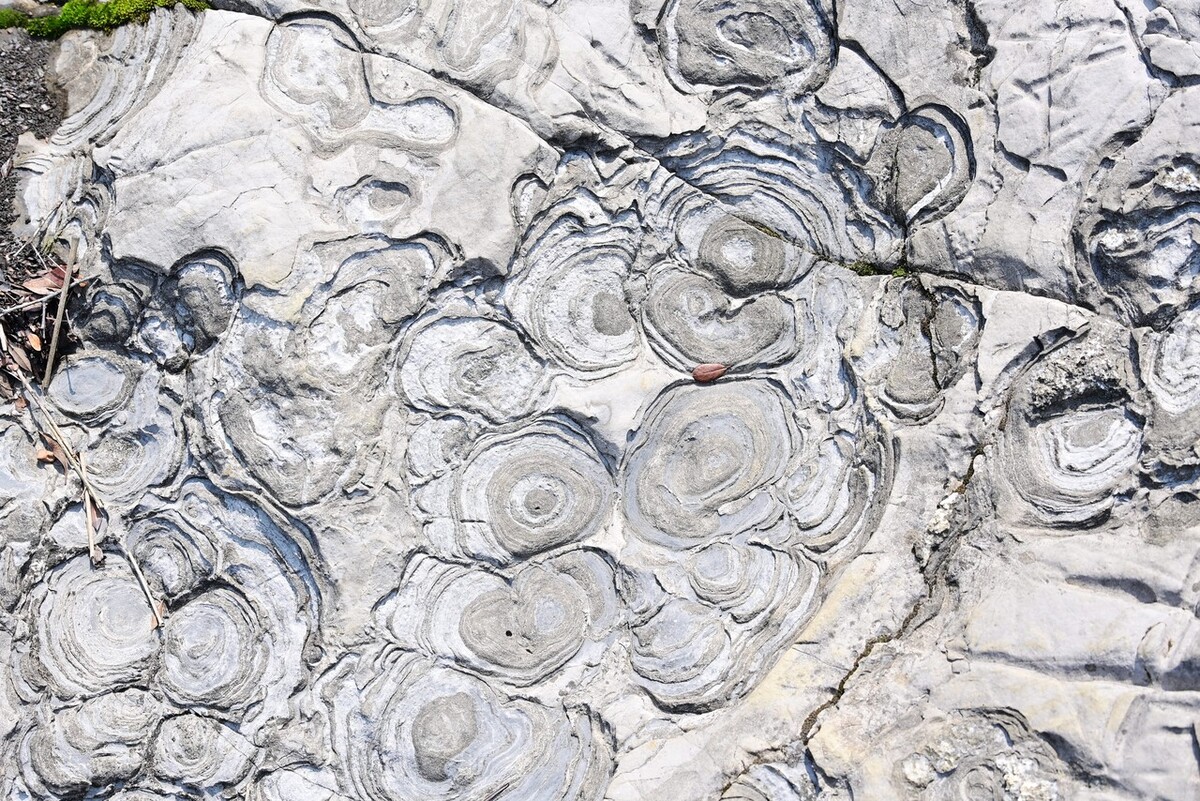 人这个字有什么含义,人这个字的含义