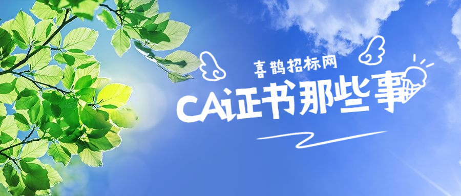 怎样申请重庆政府采购网ca证书,广东省政府采购网如何申请ca证书