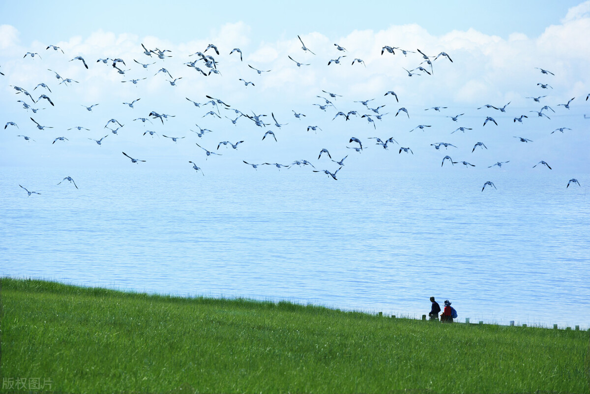 青海湖最新最全旅游攻略,去青海湖旅游哪个季节最好最美呢
