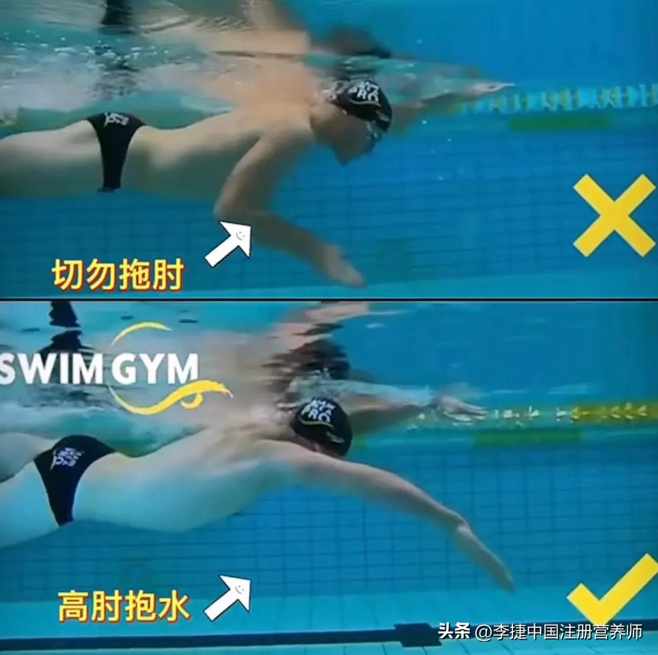 前游泳冠军谈自由泳技术,舒曼自由泳视频