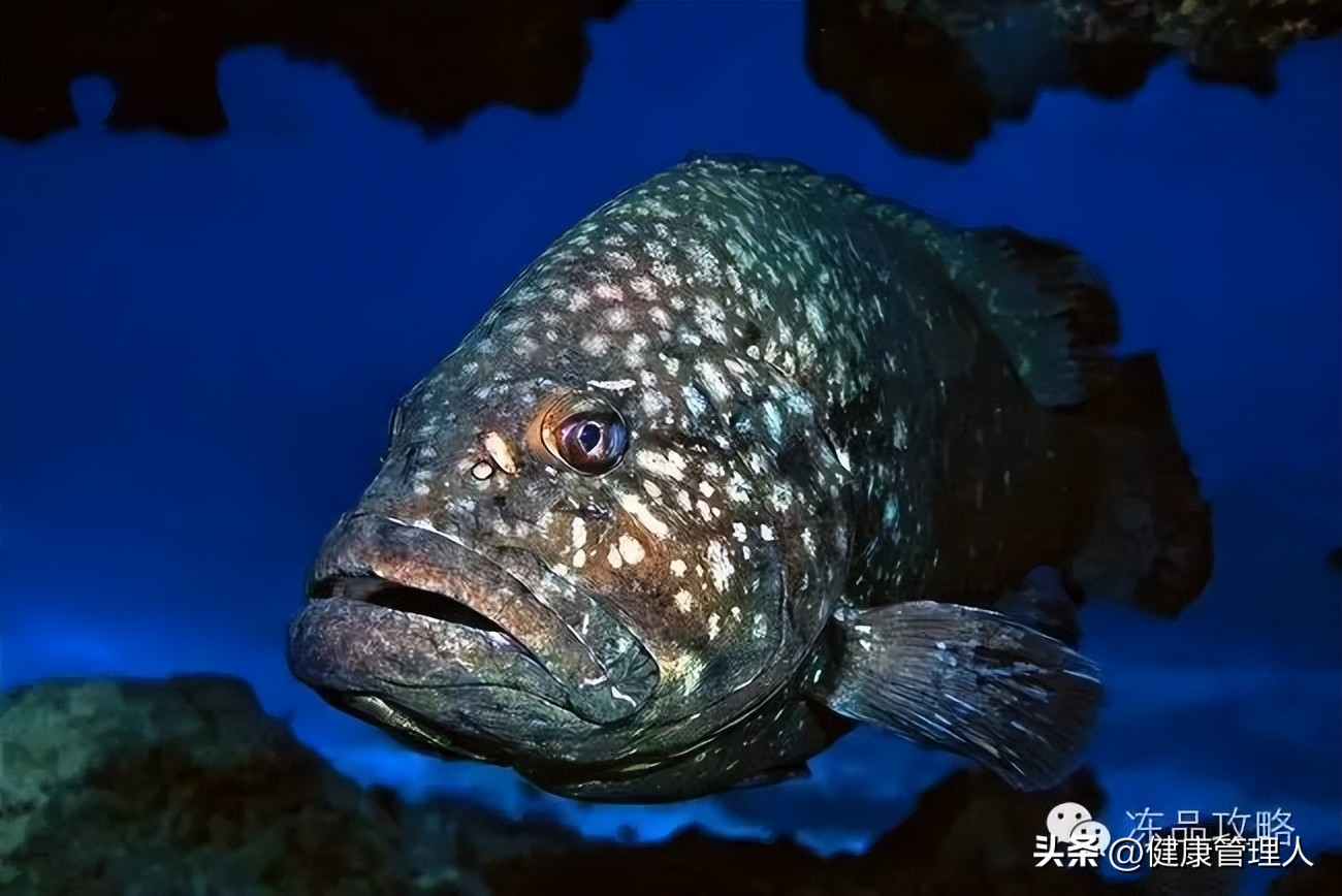 美容护肤食疗方案,美容护肤养生介绍
