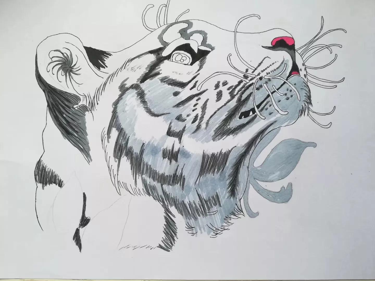 水彩笔画四大神兽,水彩12色入门简笔画