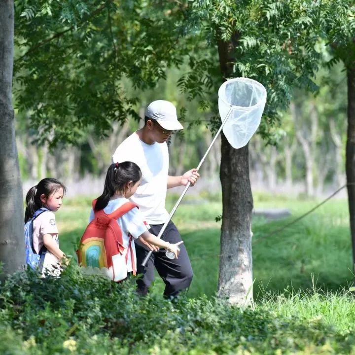 极美南京作品,极美南京活动
