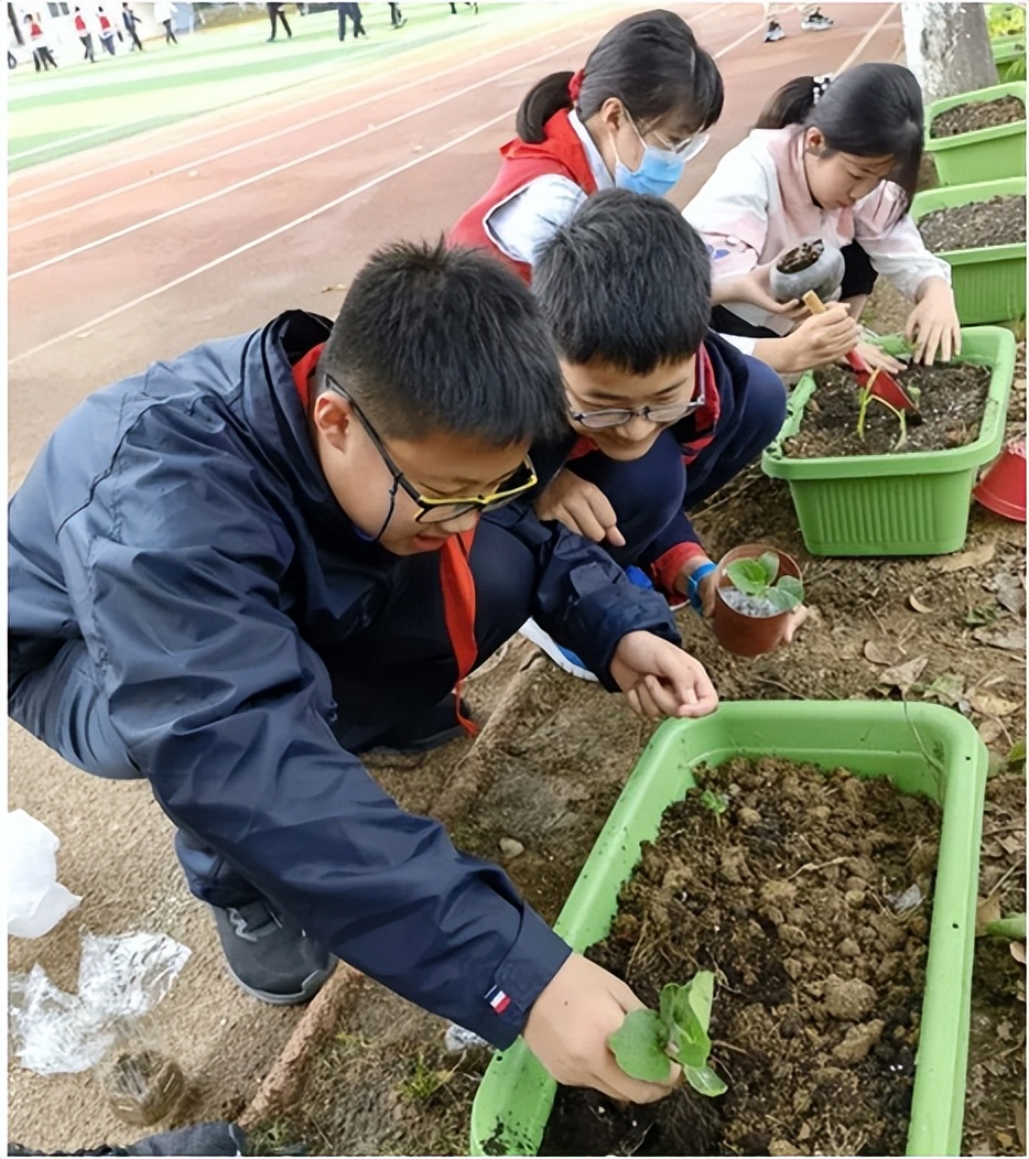 双减政策下小学开展教研工作思路,小学双减成果