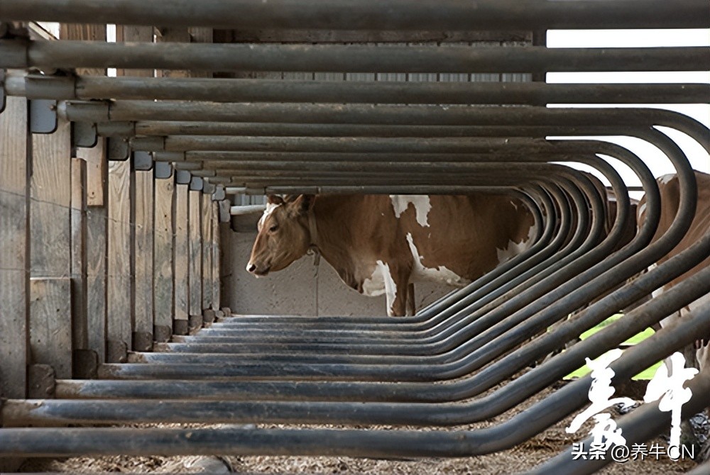 仍然在寻找子宫炎早期诊断方法