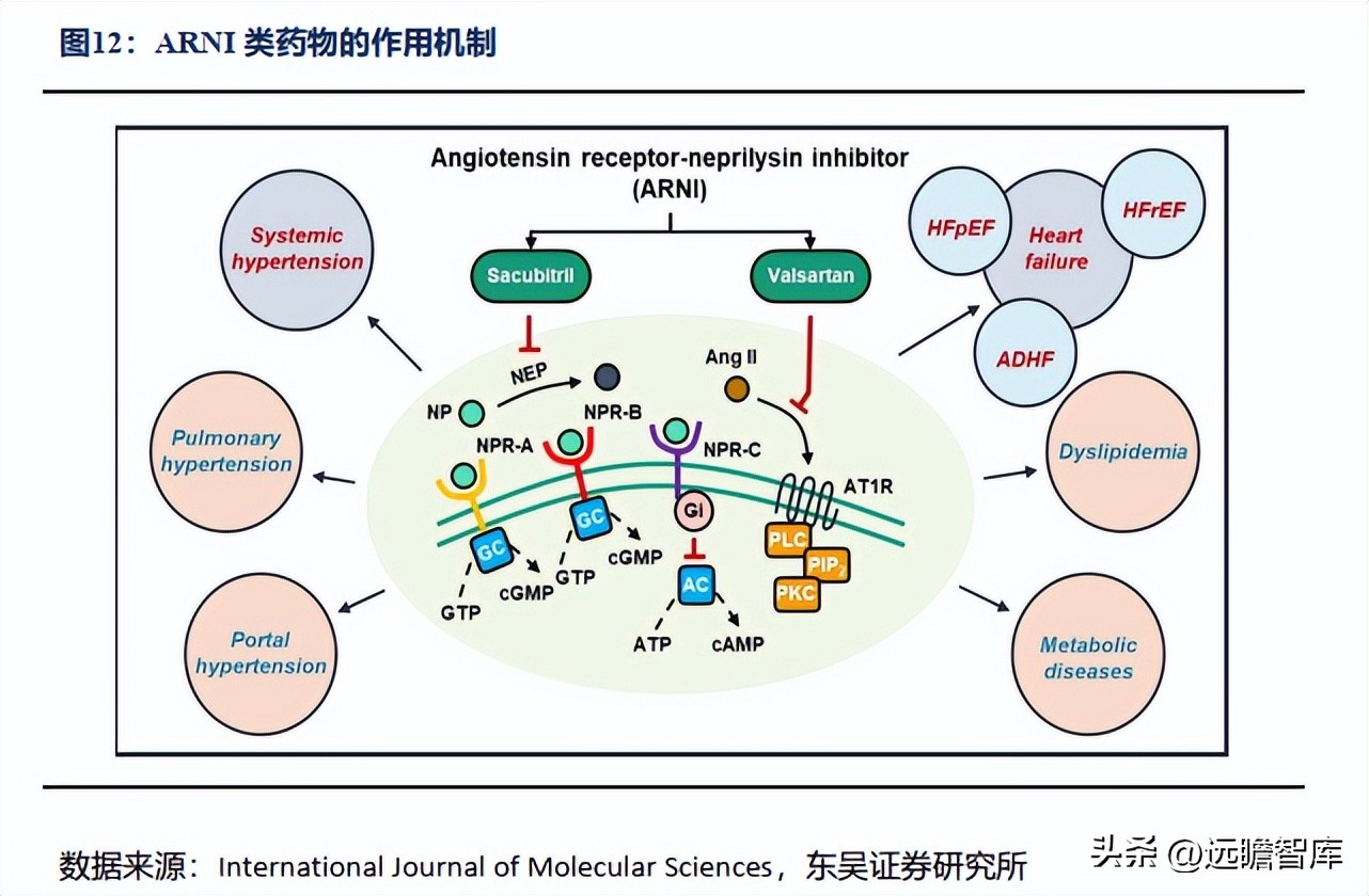 信立泰药业差异化,信立泰创新药研发能力