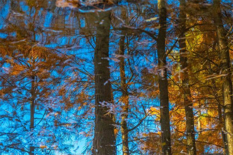 大理开启大理之旅,冬季的大理适合旅游吗