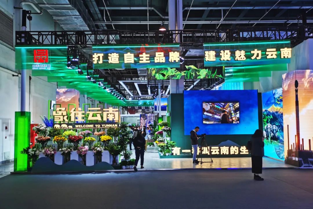 中国品牌日凸显价值,普洱茶知名品牌大益