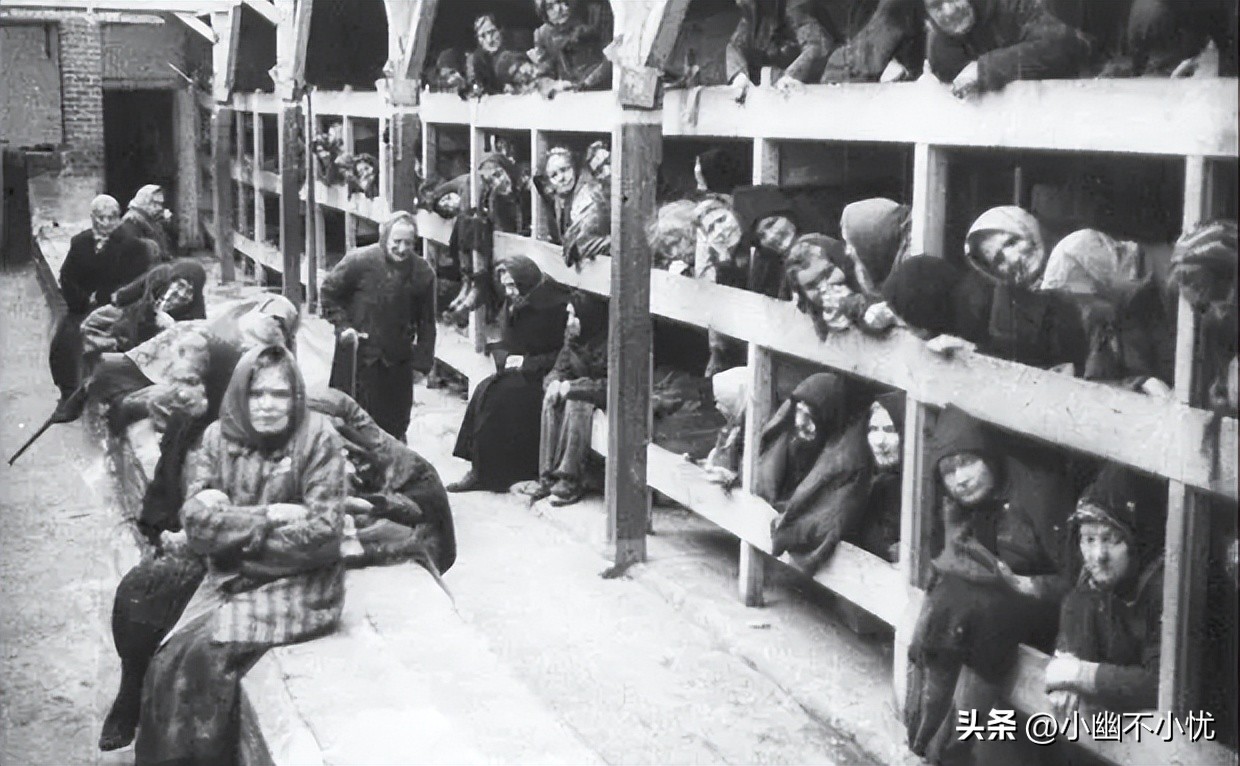 纳粹知道我的名字,奥斯维辛集中营毒气室回忆录