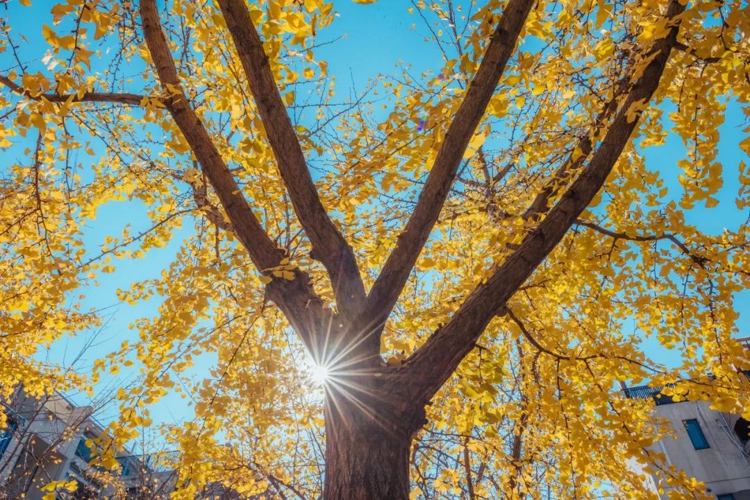 非常现实经典的十句话,经典十句话适合所有人