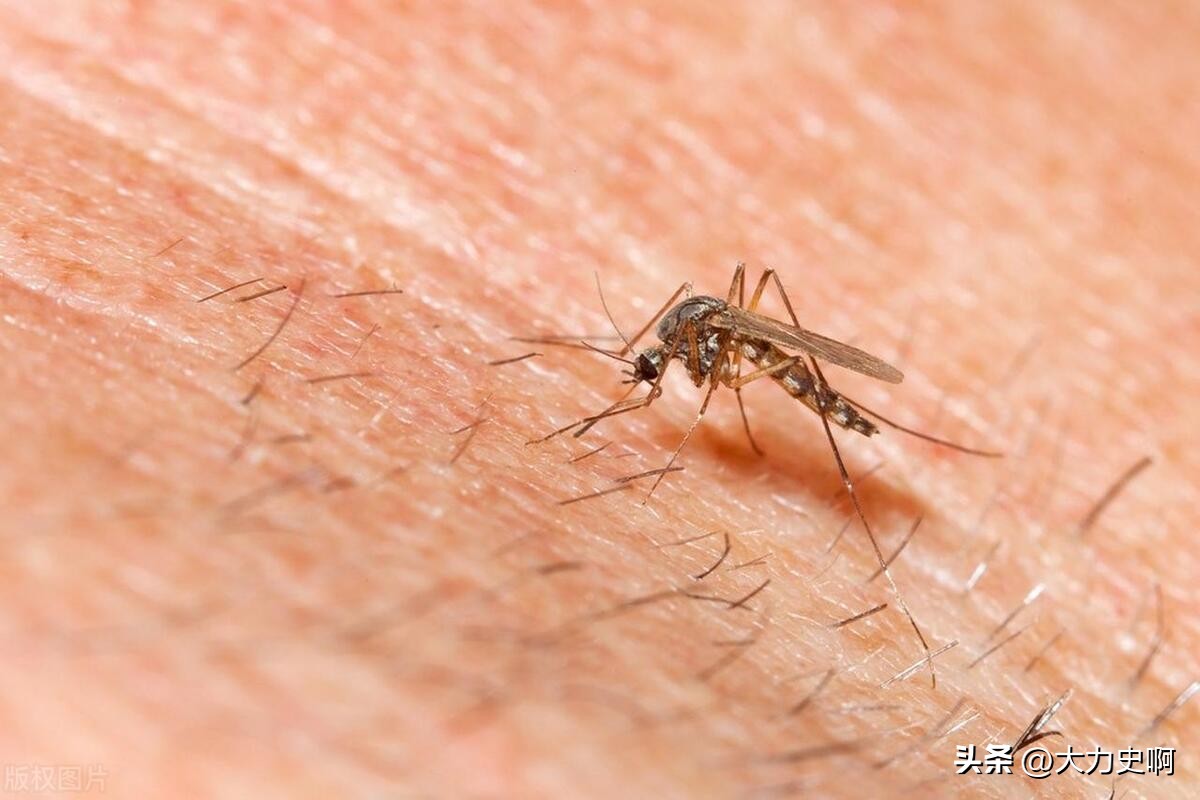 古代刑罚蚊刑,古代的蚊刑有多严重