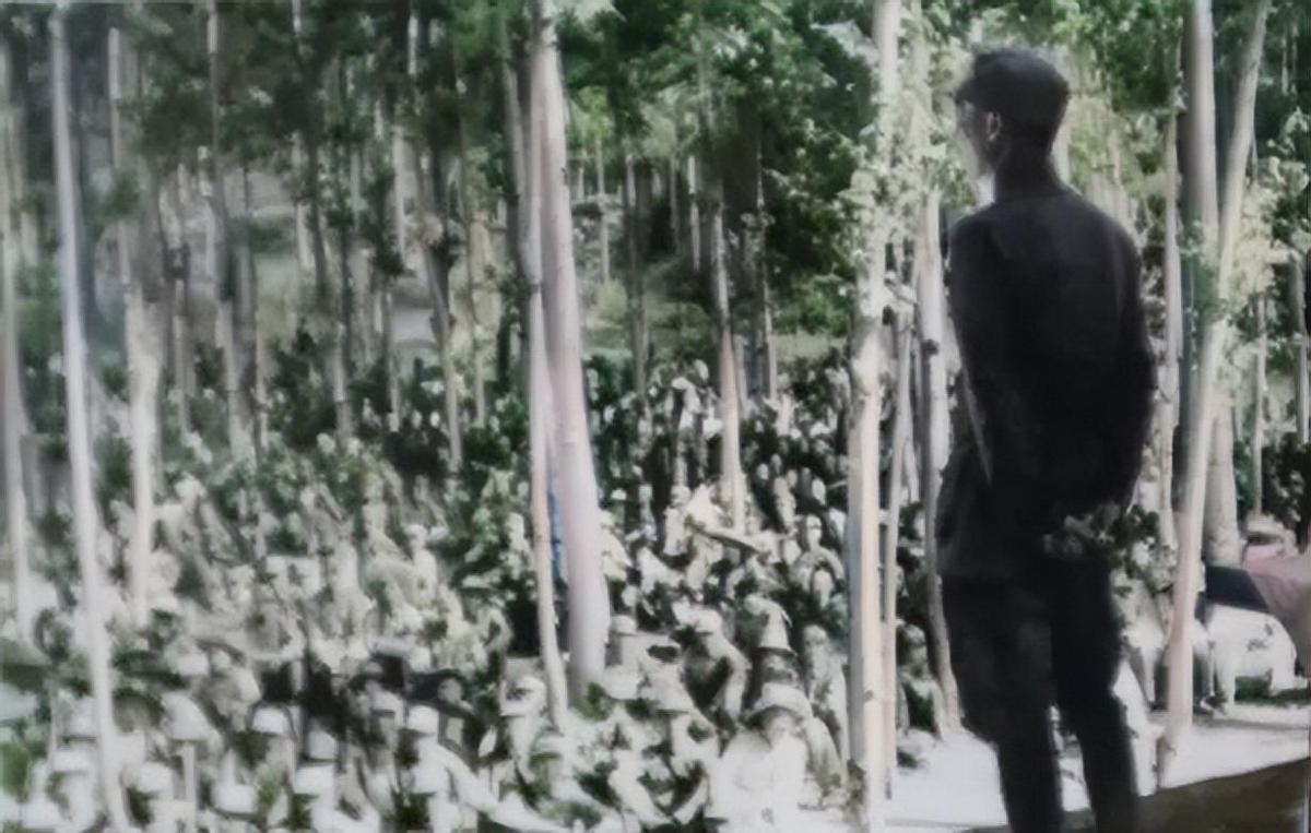 【晚清*楼青**秘影】*楼青**女媚态撩心，丰乳肥臀，风情难挡！