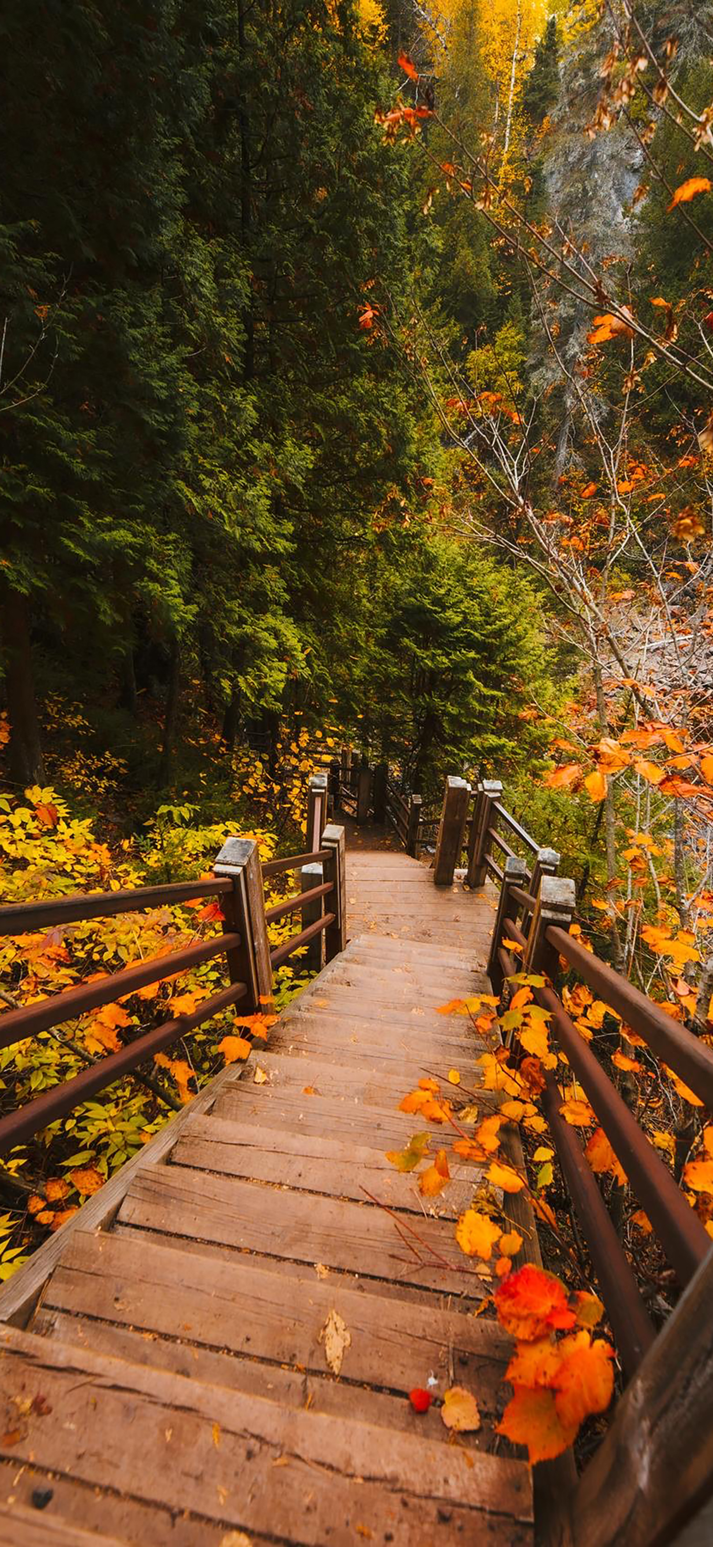 大海大自然风景壁纸,壁纸风景动态大自然