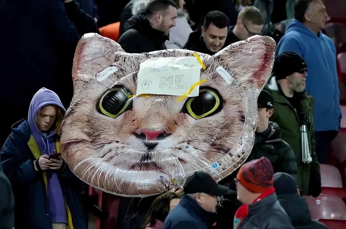 球员虐待狗,足球虐猫事件