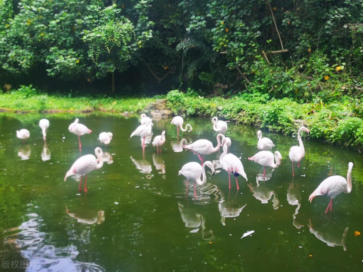 五一广州穷游攻略,五一广州亲子旅游攻略