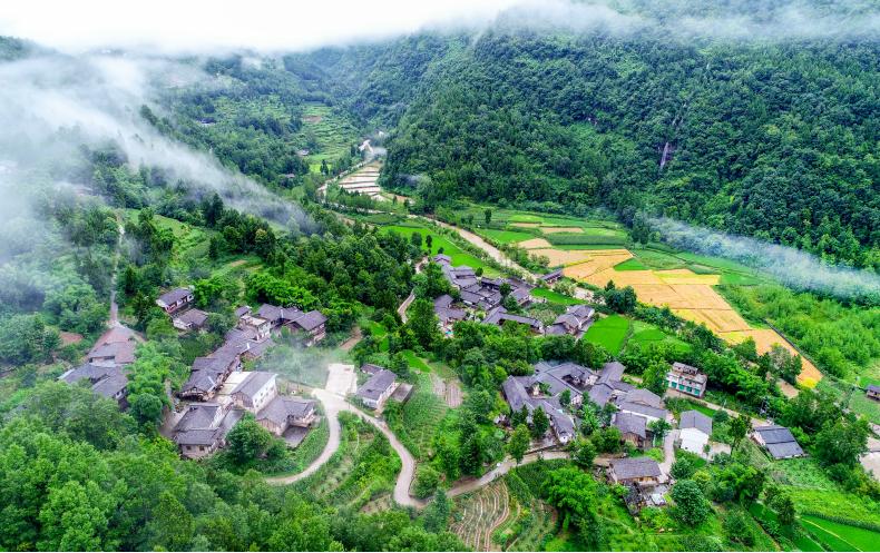 如果你要写通江，就不能只写通江