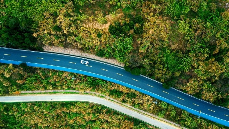 温州秋天的景,温州的秋天