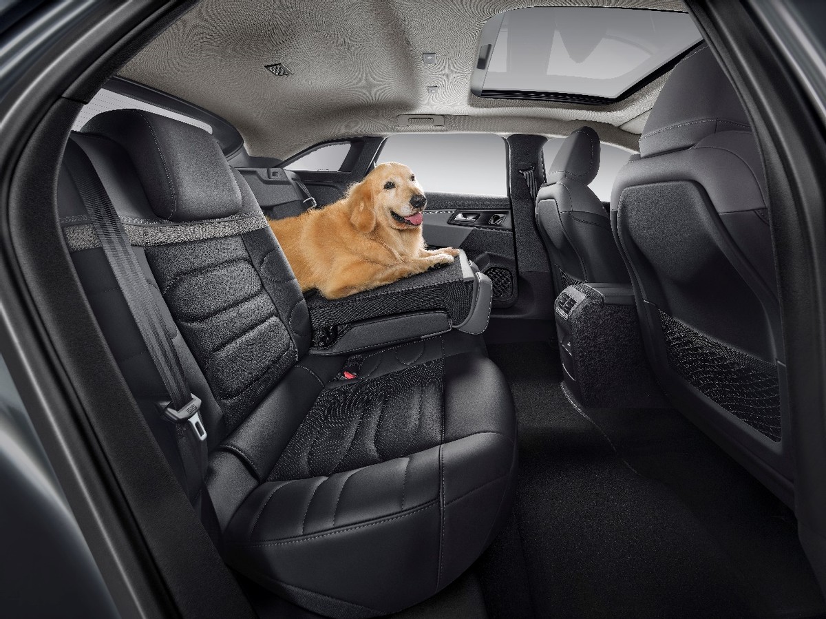 零首付雪铁龙凡尔赛c5x有没有现车,雪铁龙c5x凡尔赛零首付