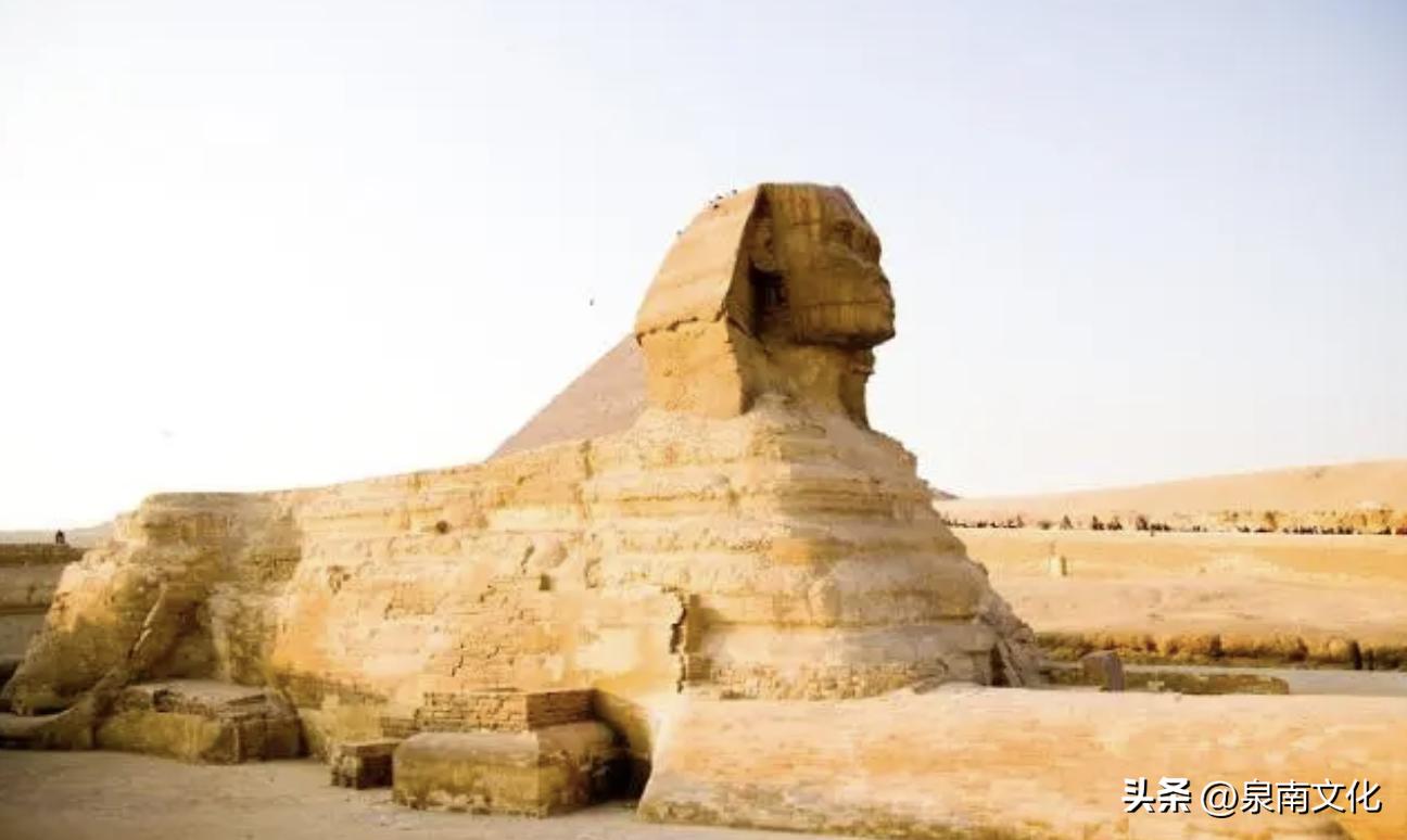 狮子科普讲解,解读狮子座