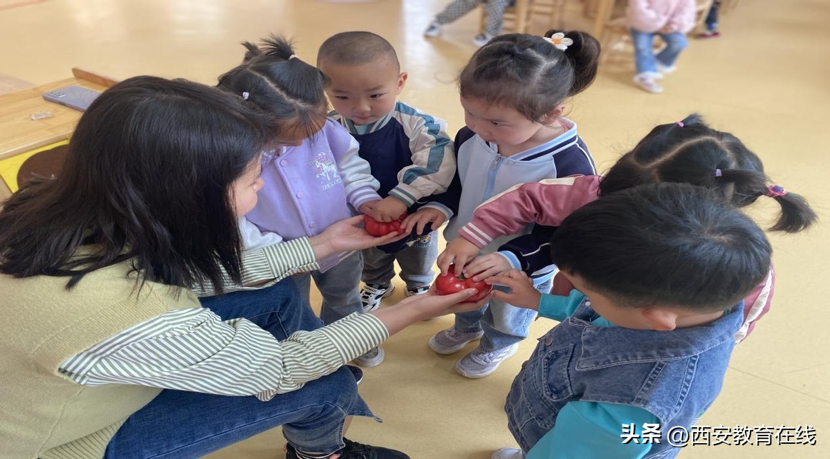 小种植大收获——新合四幼种植活动