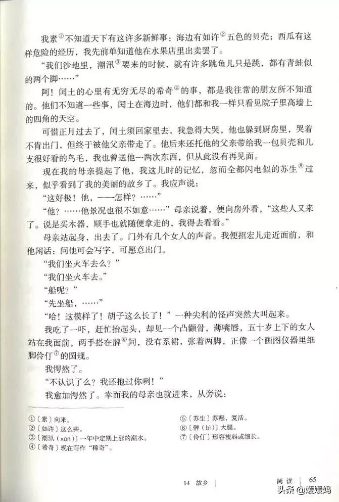 九年级上册语文第15课故乡预习,语文书人教版九上故乡ppt