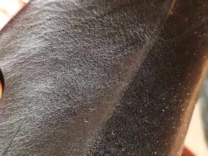 皮料鉴定的最好方法,皮具牛皮怎么选