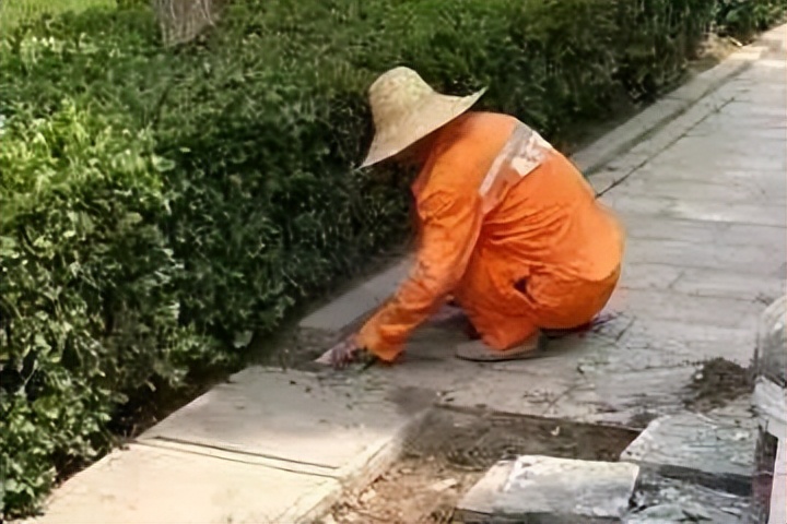 泰达足球场重启亚洲杯,泰达足球场回归首秀