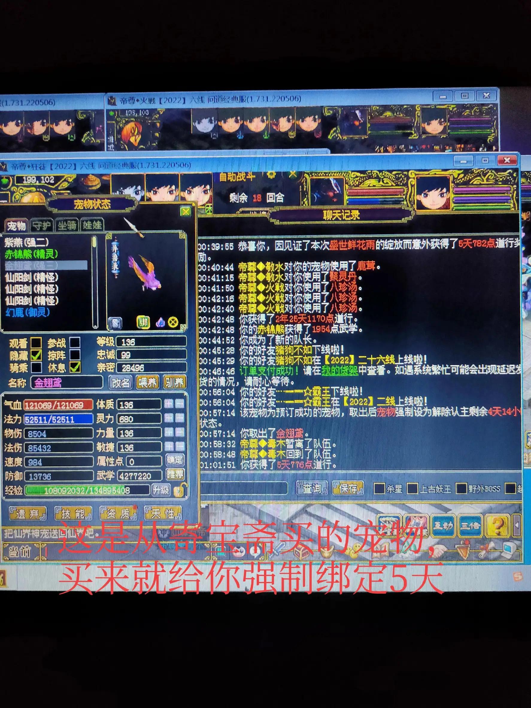 端游问道攻略,问道端游宠物