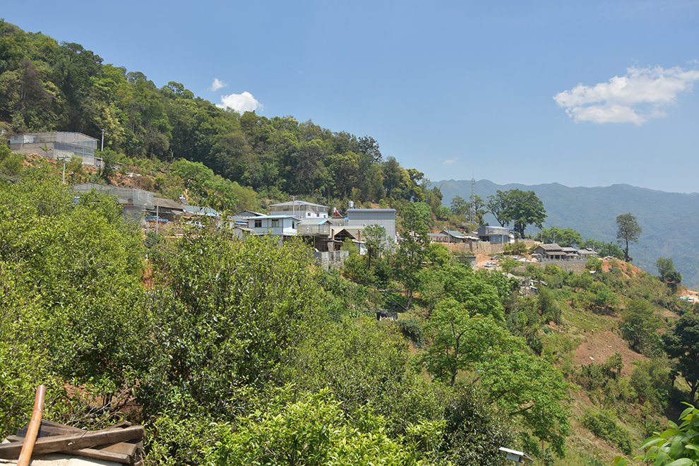 200的茶叶是如何在网店变成2000的,为什么仍说:不赚钱?