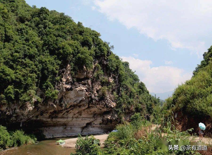 茶马古道寻茶香,茶马古道寻觅云雾