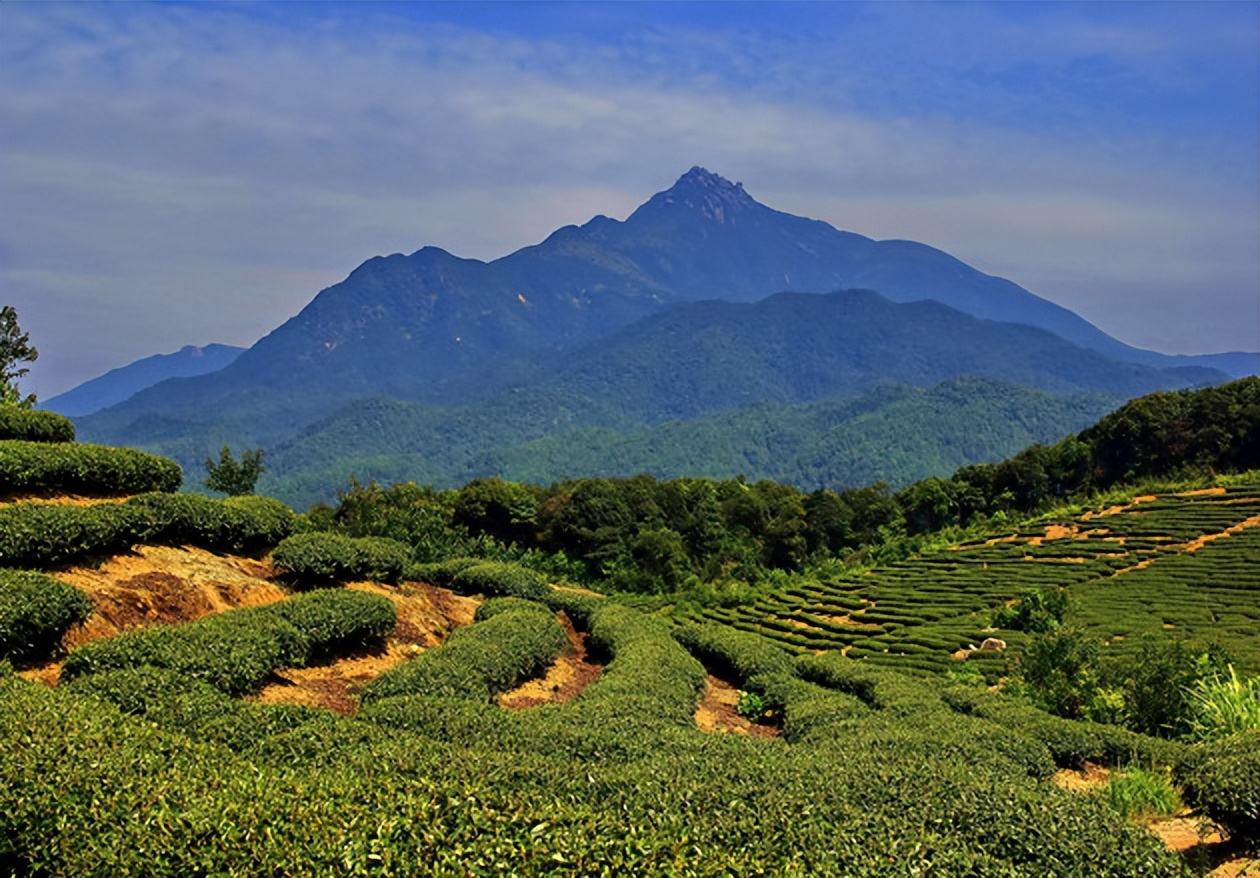 广东最高峰山顶,珠三角第一高峰在哪里