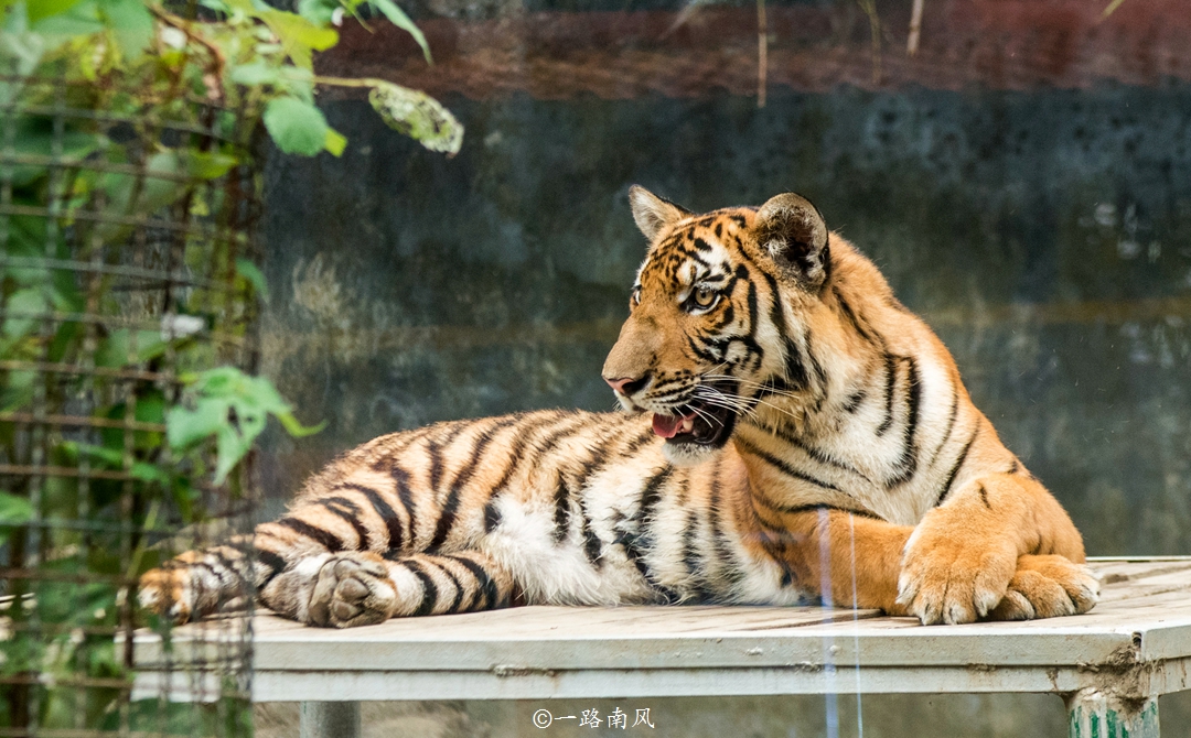 广东韶关有哪些好的景点,广东韶关市旅游攻略