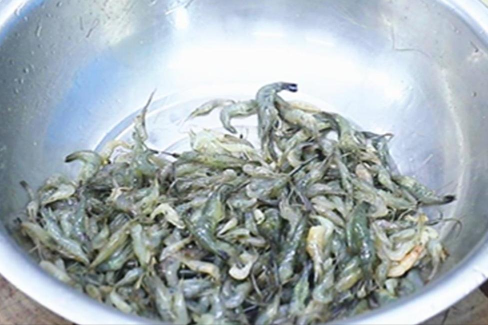 “目瞪口呆，一年病不湿”！今天的“1fresh”是什么意思？不知道