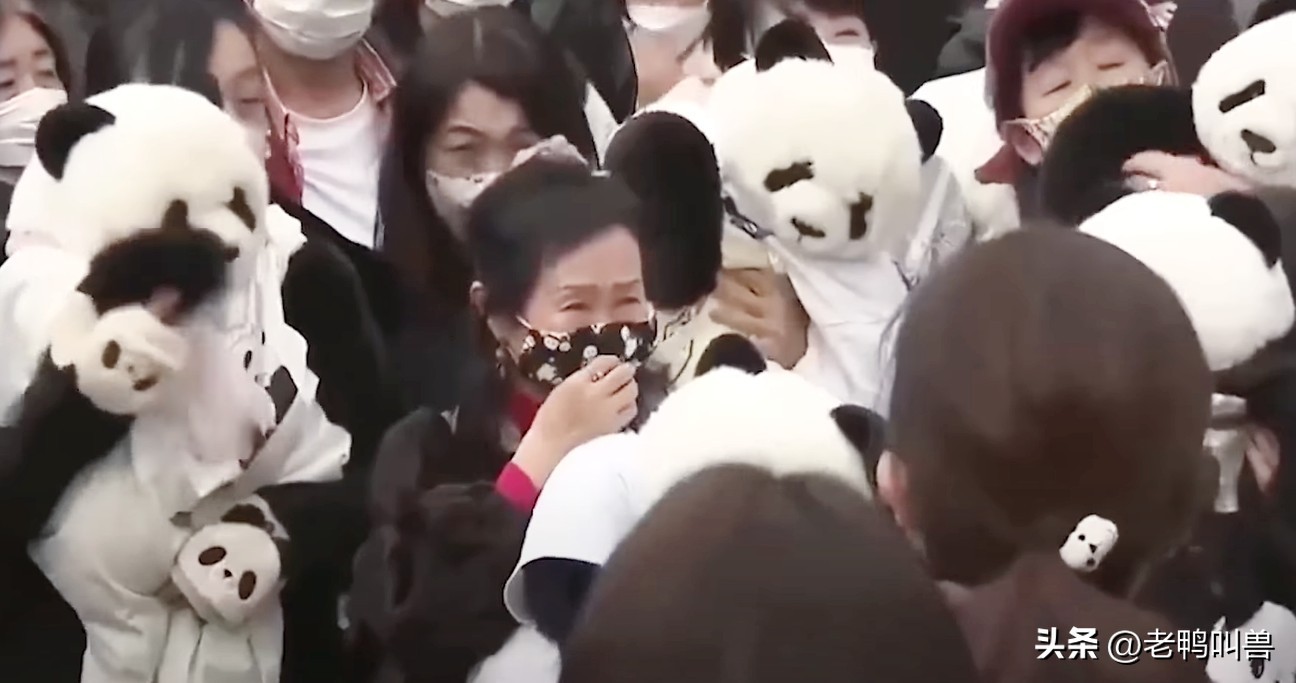 熊猫外交带来的经济效益,熊猫外交新闻稿