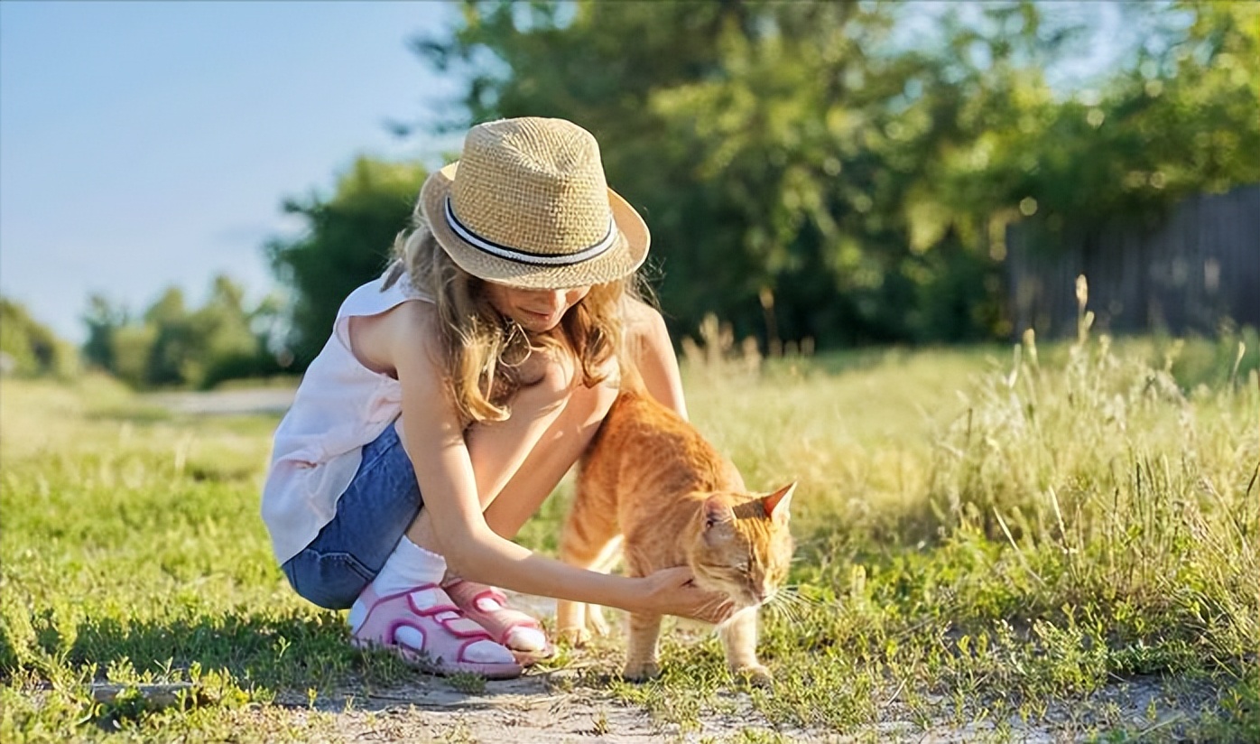 养猫产生的副作用你中招了吗,兽医对于猫的小贴士