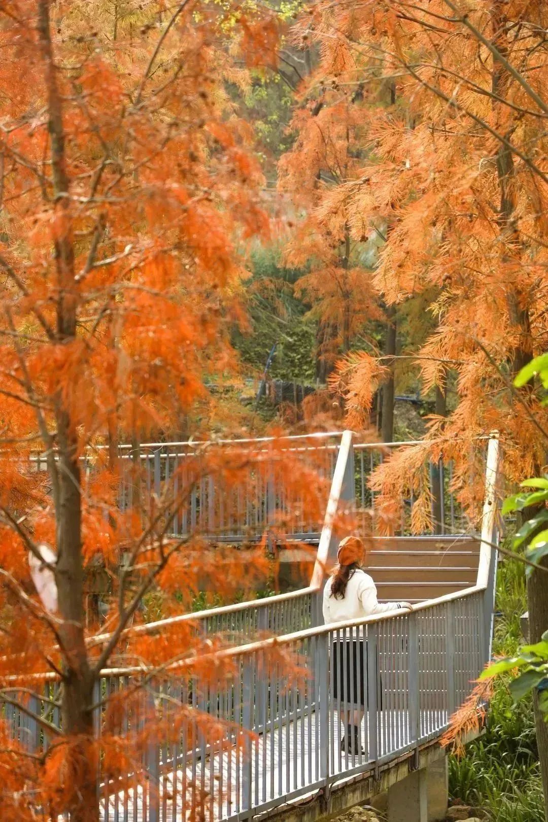 从化天人山水二日游,从化天人山水一日游攻略