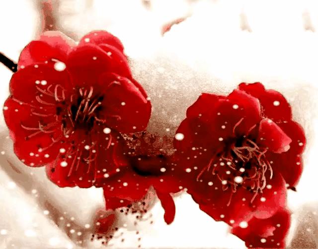 七绝迎新春古诗词,七绝迎新