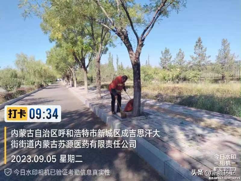 保洁开荒专业服务,清洁服务道路清扫保洁