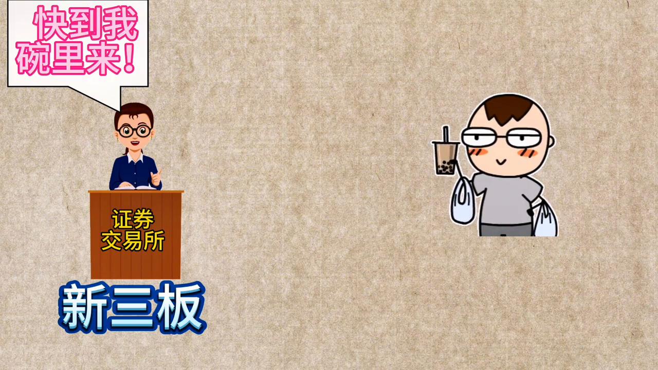 什么是证券公司的交易所,证券交易所是什么公司