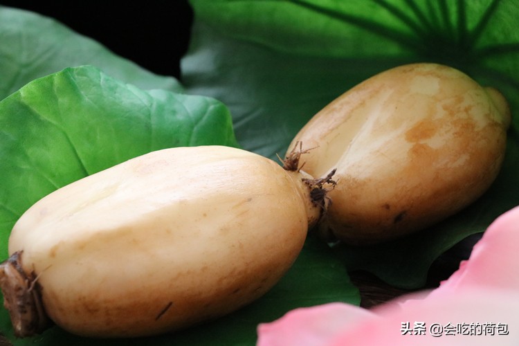 蔬菜储存方法大全，带你学会13种蔬菜的贮存技巧，一个月不用出门