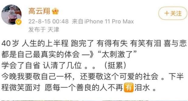 高云翔与董璇的婚姻情况,高云翔和董璇离婚吗