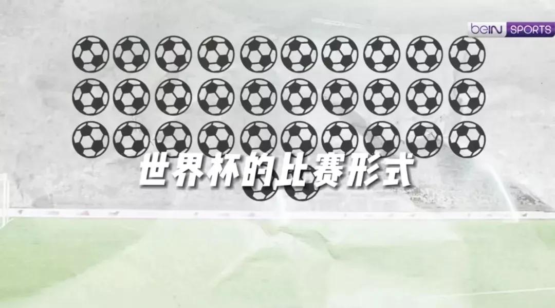 有关世界杯知识,了解世界杯的知识2024