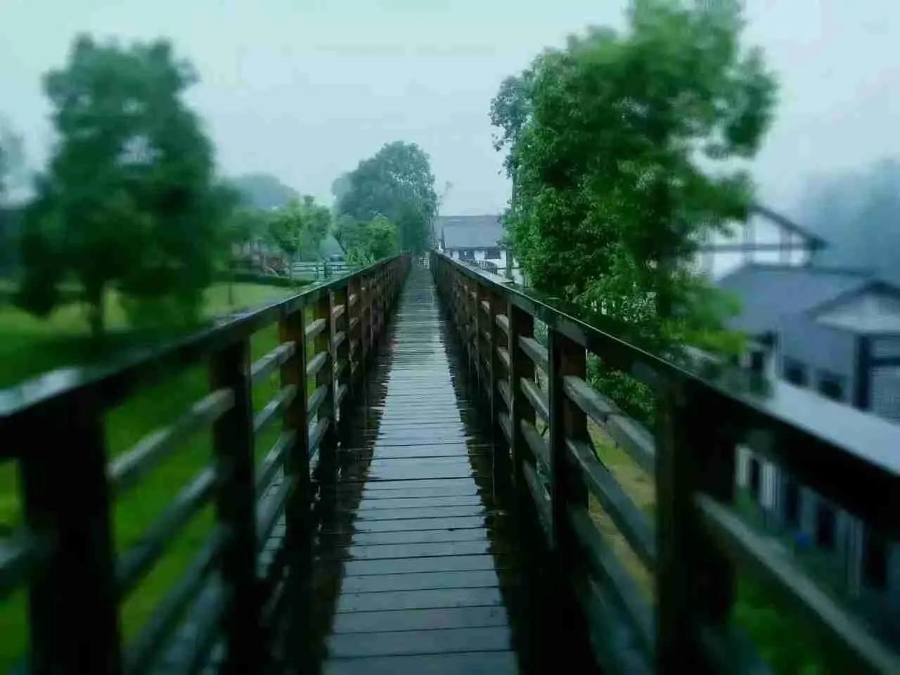 试驾不还行为的定性（案例探究）