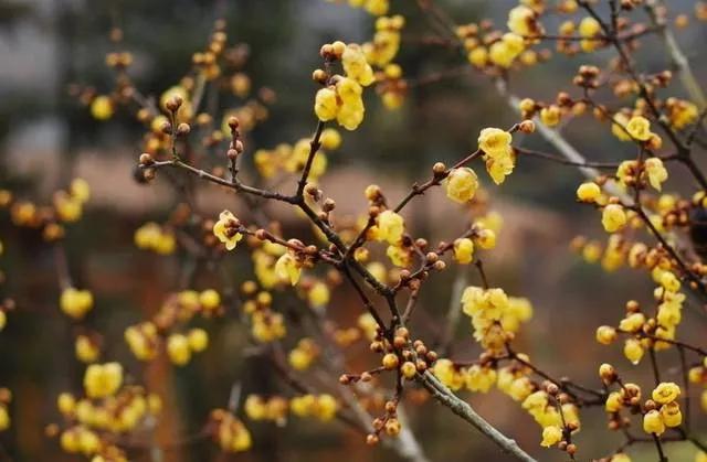 每日一句英语,每日一习