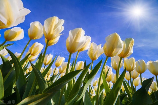 怎么提升自己的气场和气质,怎么把自己气质提升上来