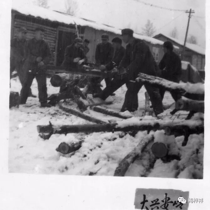 战友作品:“北极”女兵(黄爱明)梅梓祥