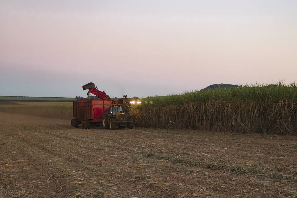 舌尖上的甜蜜史，广西的甘蔗产业有多强？